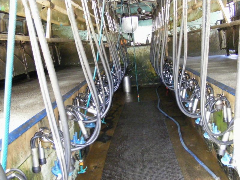 340 Miller Road, Yanakie VIC 3960