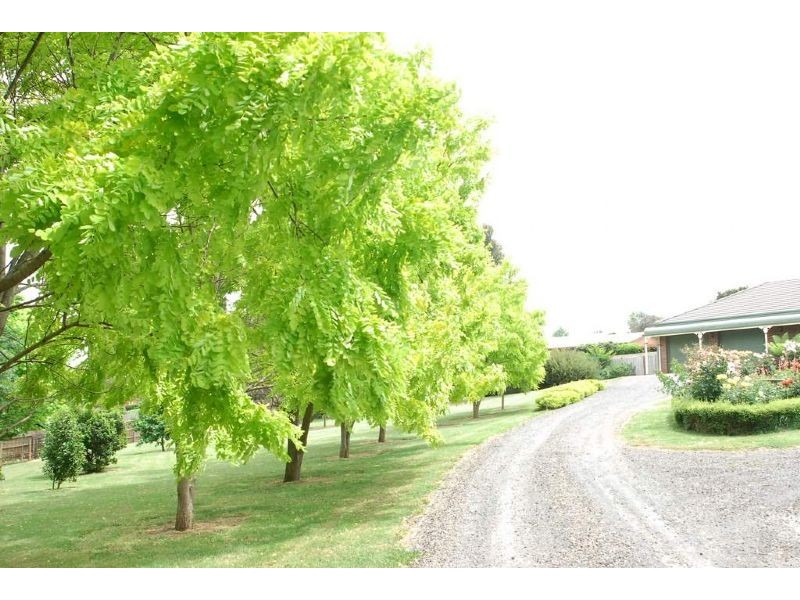 8A Louise Simon Court, Leongatha VIC 3953