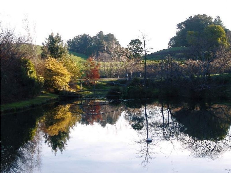 25 Pincinis Lane, Mirboo North VIC 3871