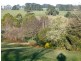 25 Pincinis Lane, Mirboo North VIC 3871
