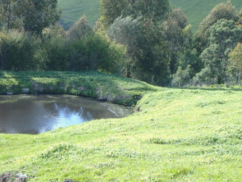 220 Mardan Road, Dumbalk VIC 3956