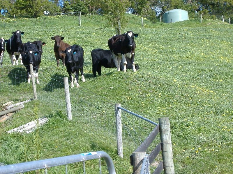 220 Mardan Road, Dumbalk VIC 3956