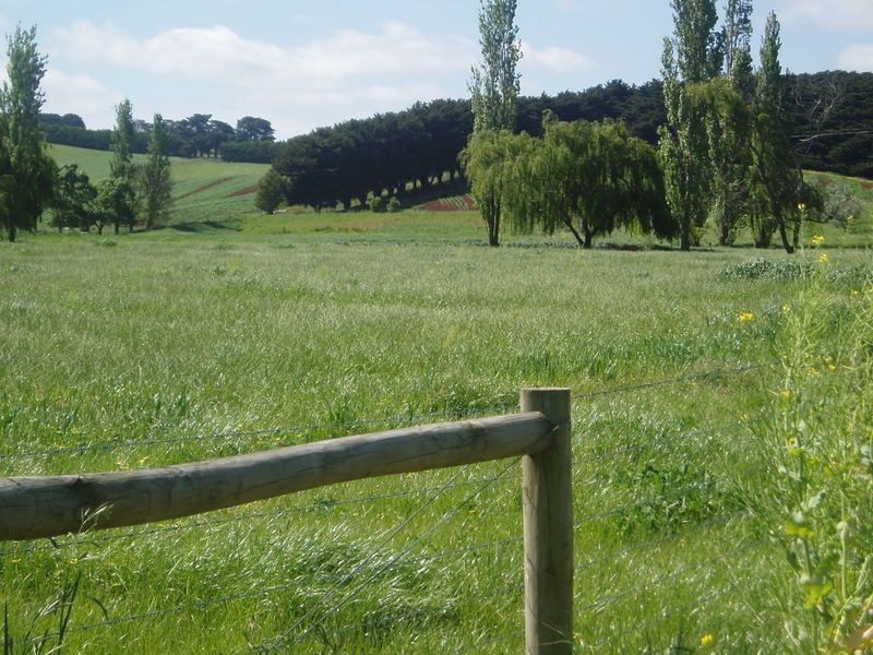 0 Strzelecki Highway, Leongatha VIC 3953