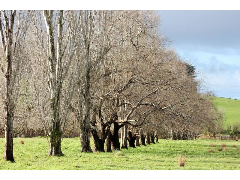 0 Strzelecki Highway, Leongatha VIC 3953