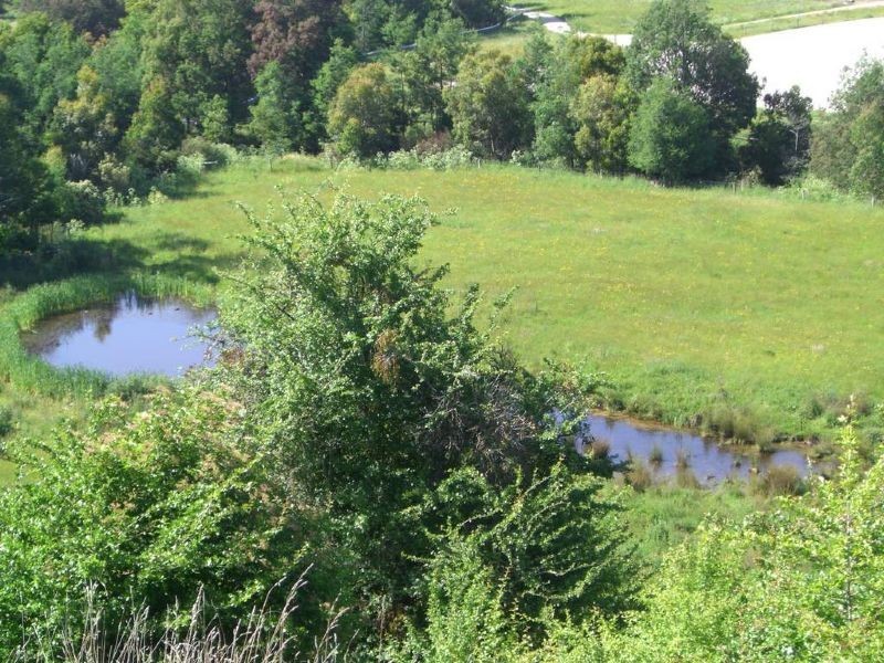 Lots 6&7 Barnes Road, Kardella VIC 3951
