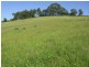 Lots 6&7 Barnes Road, Kardella VIC 3951