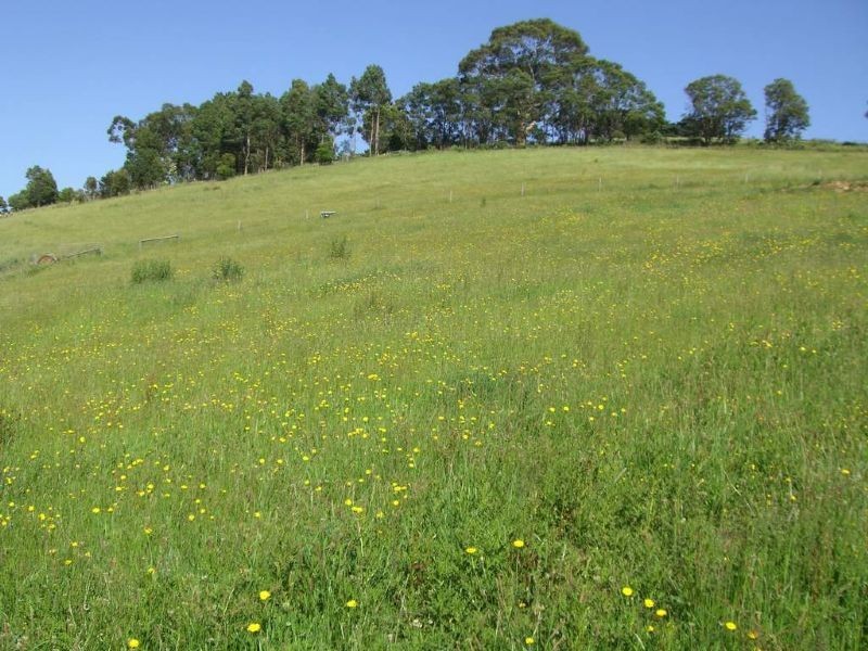 Lots 6&7 Barnes Road, Kardella VIC 3951