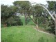 . Arbuthnots Road, Tarwin Lower VIC 3956