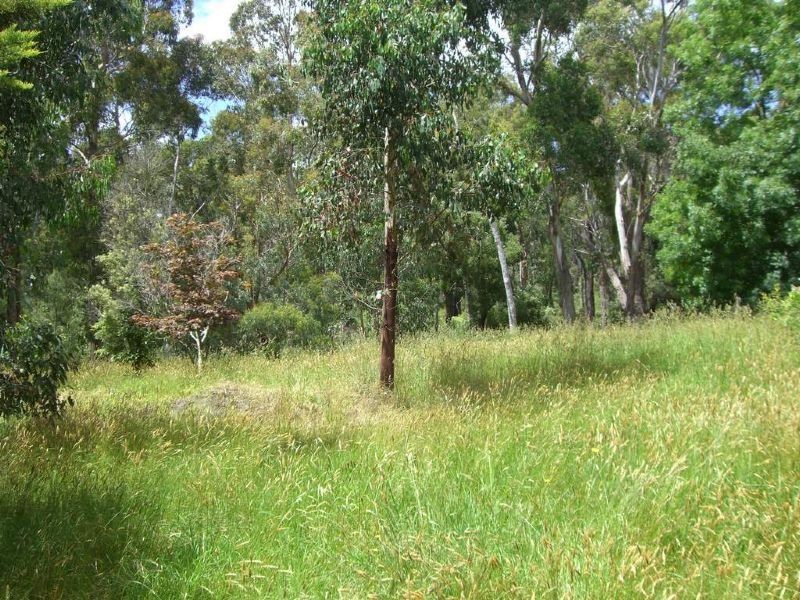 00 Koala Drive, Koonwarra VIC 3954