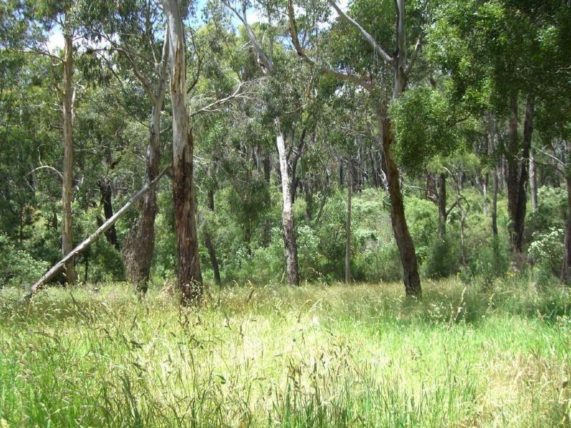 00 Koala Drive, Koonwarra VIC 3954