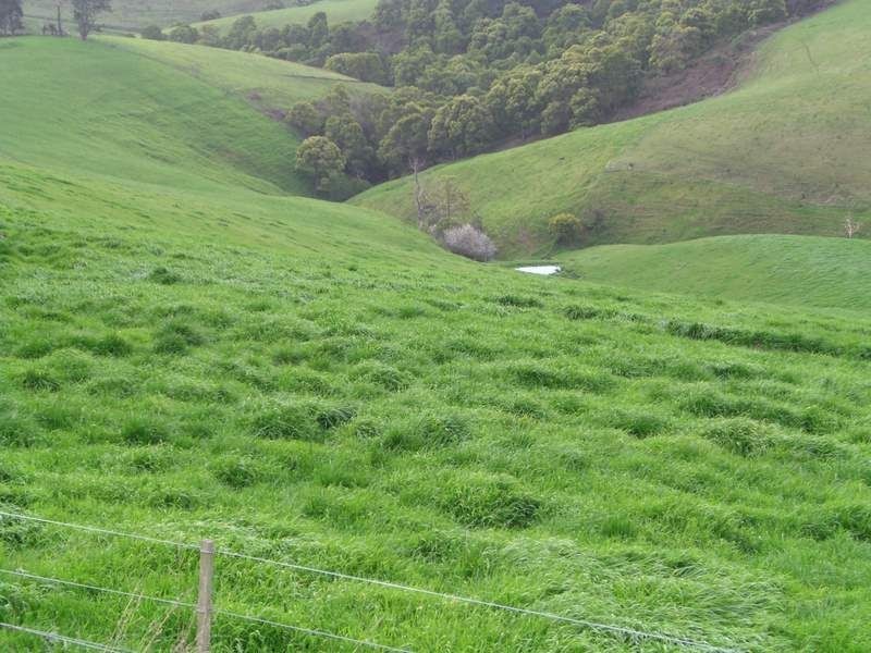 00 Stony-Creek Dollar Road, Stony Creek VIC 3957