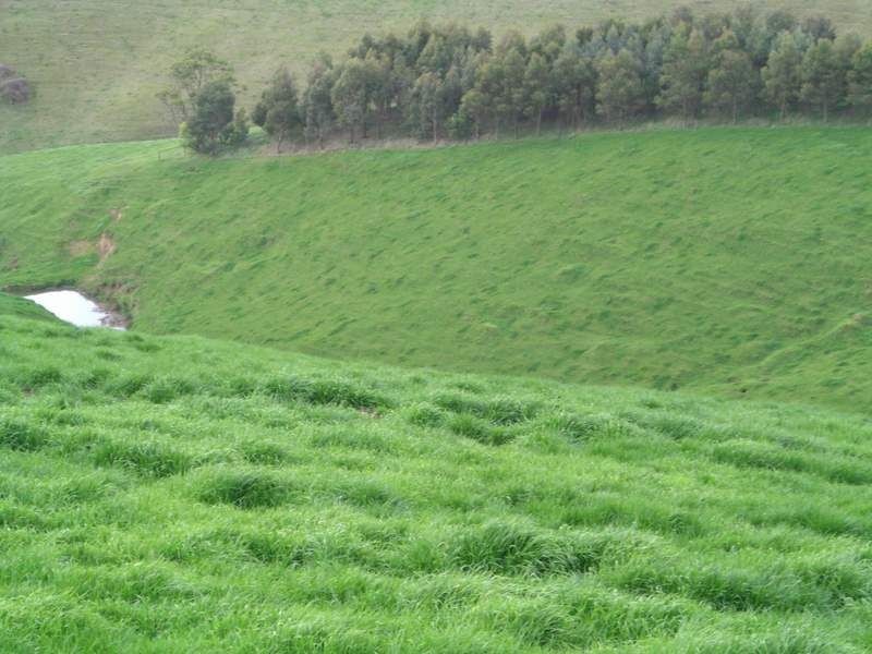 00 Stony-Creek Dollar Road, Stony Creek VIC 3957