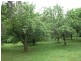 1140 Dollar Road, Dumbalk VIC 3956