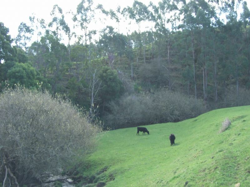 lot 2 Mardan Road, Mirboo North VIC 3871