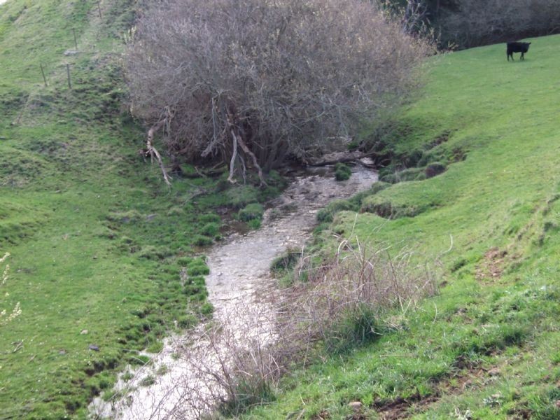 lot 2 Mardan Road, Mirboo North VIC 3871