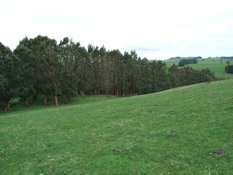 lot 2 Mardan Road, Mirboo North VIC 3871