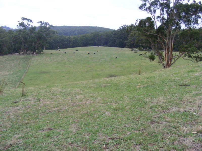 # Forresters Road, Hallston VIC 3953