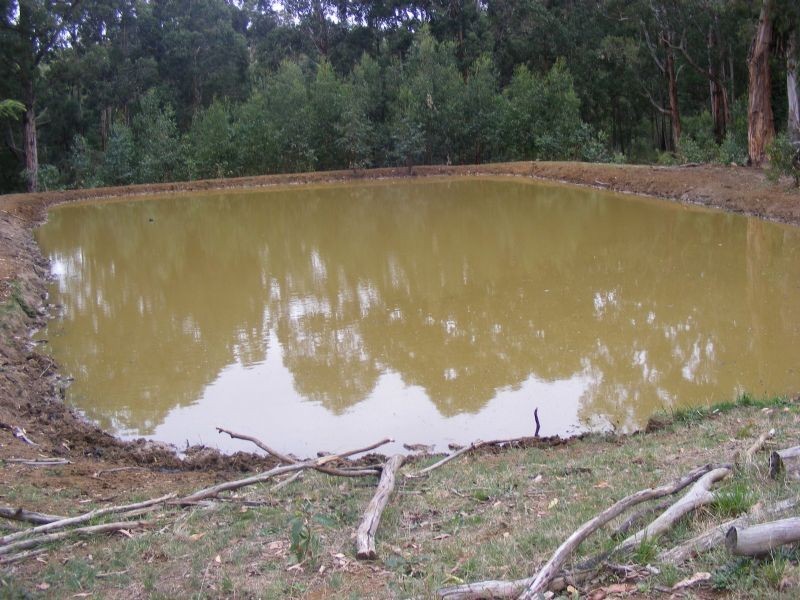 # Forresters Road, Hallston VIC 3953