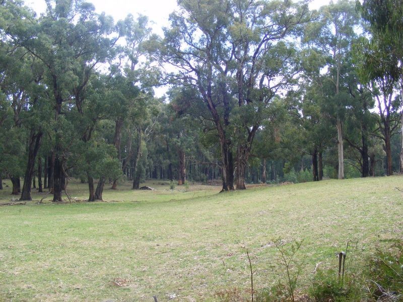 # Forresters Road, Hallston VIC 3953