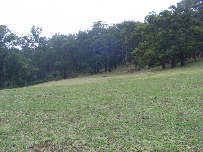 # Forresters Road, Hallston VIC 3953