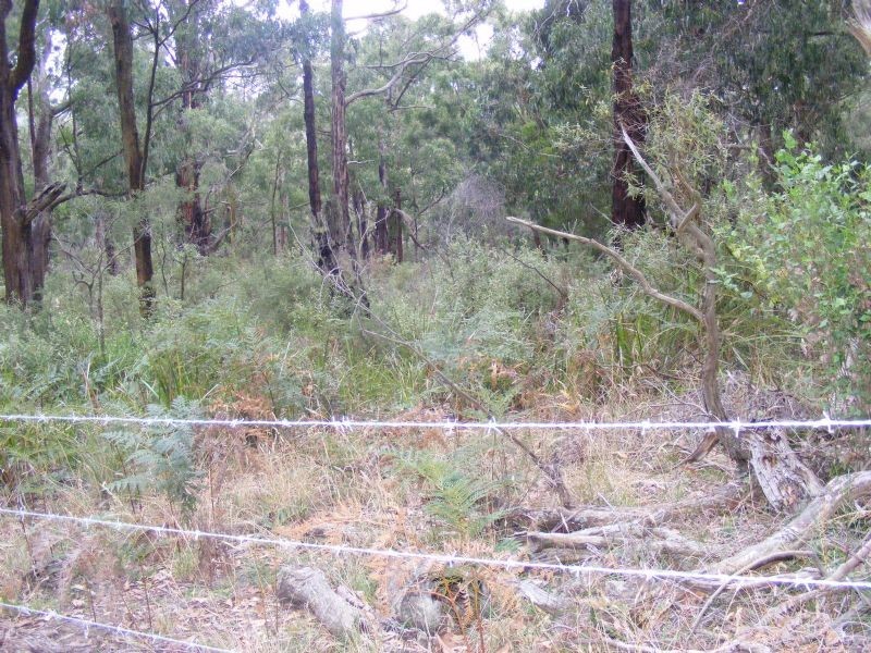 # Forresters Road, Hallston VIC 3953