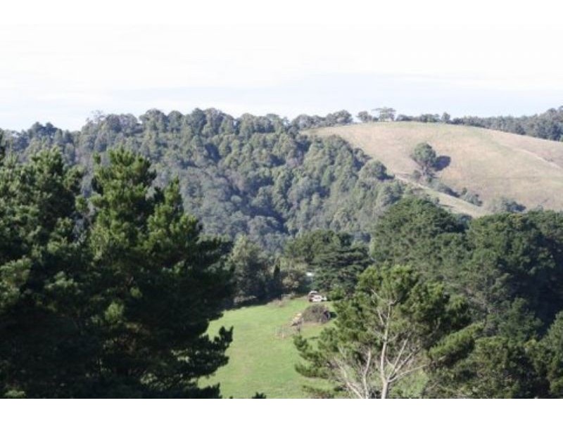 25 Dollar Hall Road, Dollar VIC 3871