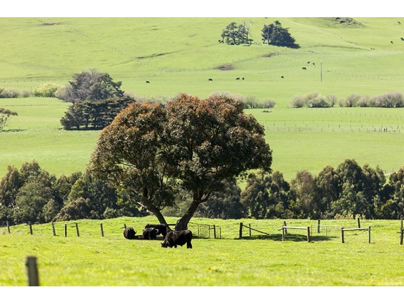 80 Smirls Road, Leongatha VIC 3953