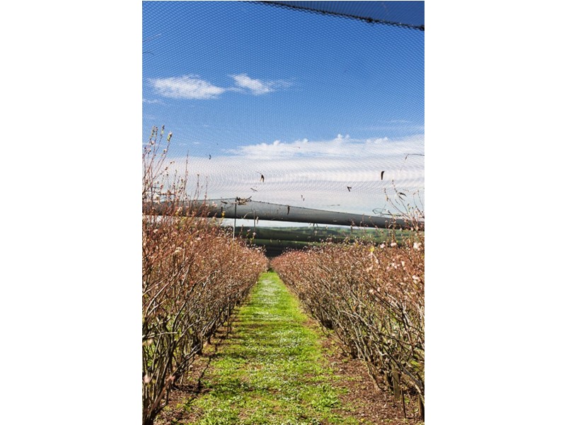 80 Smirls Road, Leongatha VIC 3953