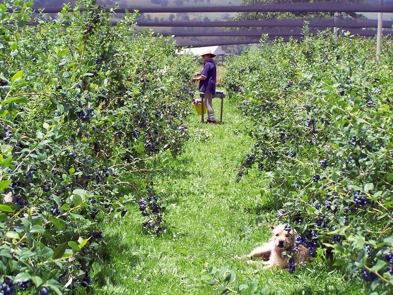 80 Smirls Road, Leongatha VIC 3953