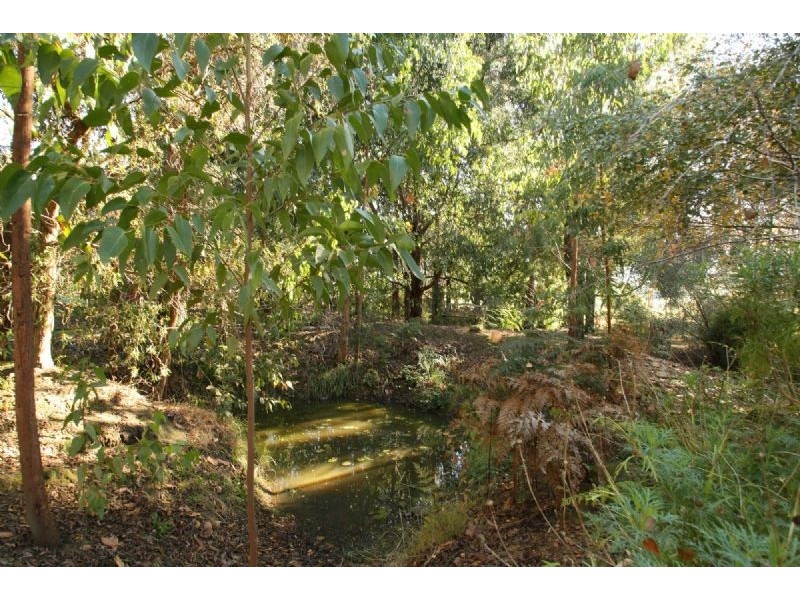 235 Racecourse Road, Leongatha VIC 3953