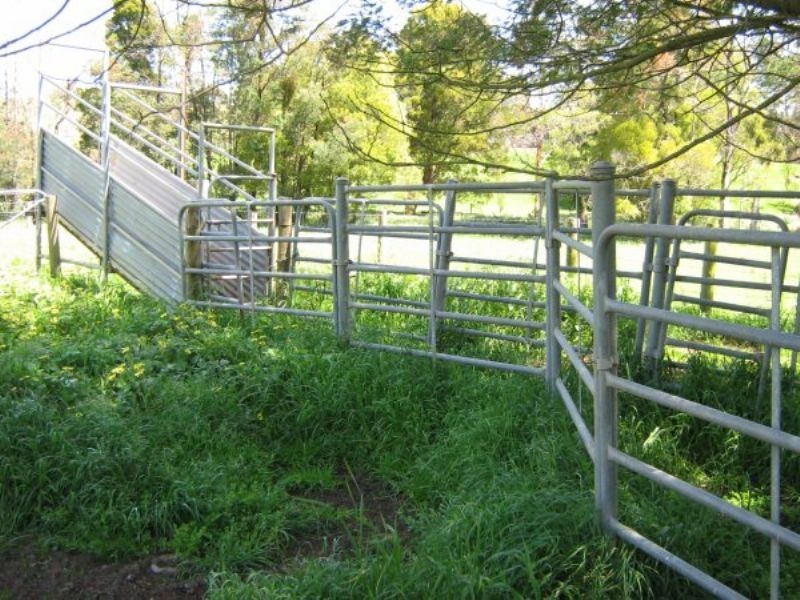 199 Berrys Creek Road, Berrys Creek VIC 3953