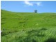 199 Berrys Creek Road, Berrys Creek VIC 3953