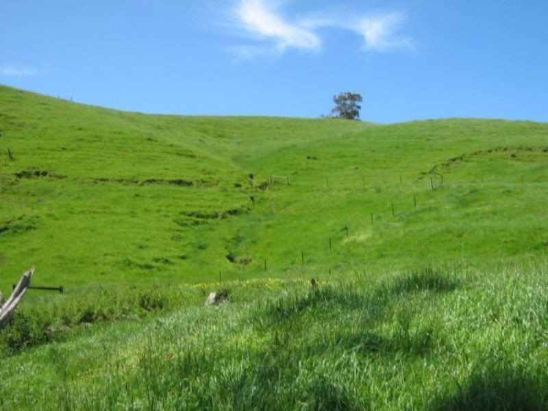 199 Berrys Creek Road, Berrys Creek VIC 3953