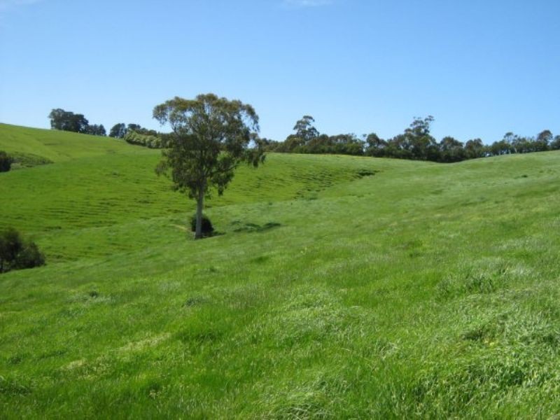 199 Berrys Creek Road, Berrys Creek VIC 3953