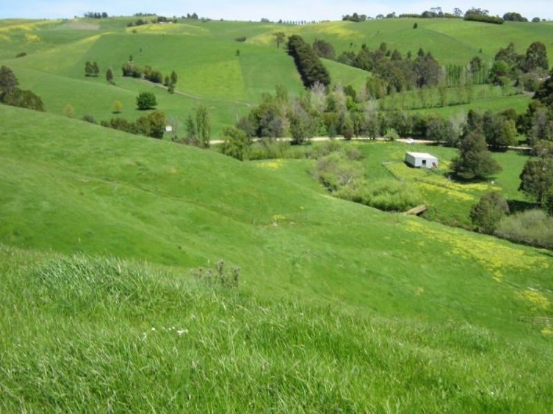 199 Berrys Creek Road, Berrys Creek VIC 3953