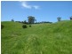 199 Berrys Creek Road, Berrys Creek VIC 3953