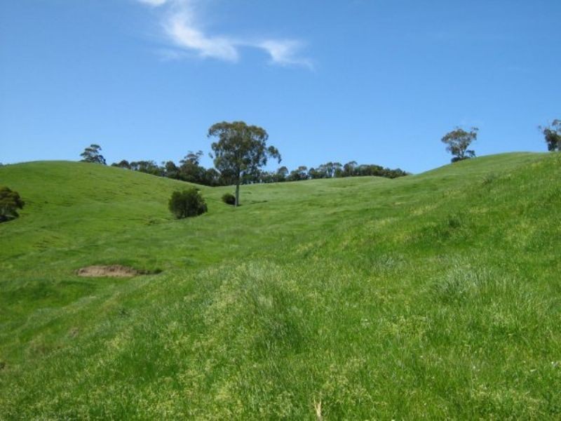 199 Berrys Creek Road, Berrys Creek VIC 3953