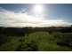 505 One Chain Road, Kardella VIC 3951