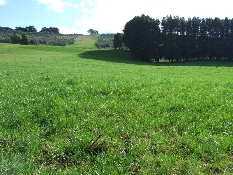 600 Fishers Road, Boolarra VIC 3870