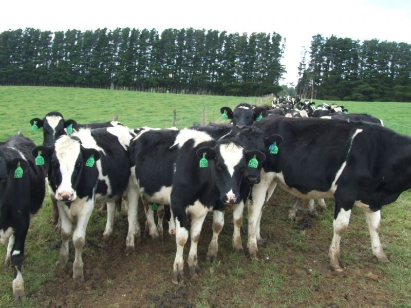 600 Fishers Road, Boolarra VIC 3870