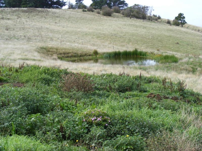 30 James Road, Kardella VIC 3951