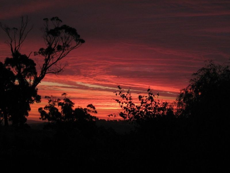 1445 Meeniyan-Mirboo North Road, Dumbalk VIC 3956