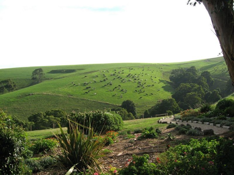 1445 Meeniyan-Mirboo North Road, Dumbalk VIC 3956