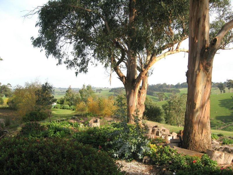 1445 Meeniyan-Mirboo North Road, Dumbalk VIC 3956