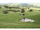 1600 Grandridge Road, Hallston VIC 3953