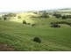 1600 Grandridge Road, Hallston VIC 3953