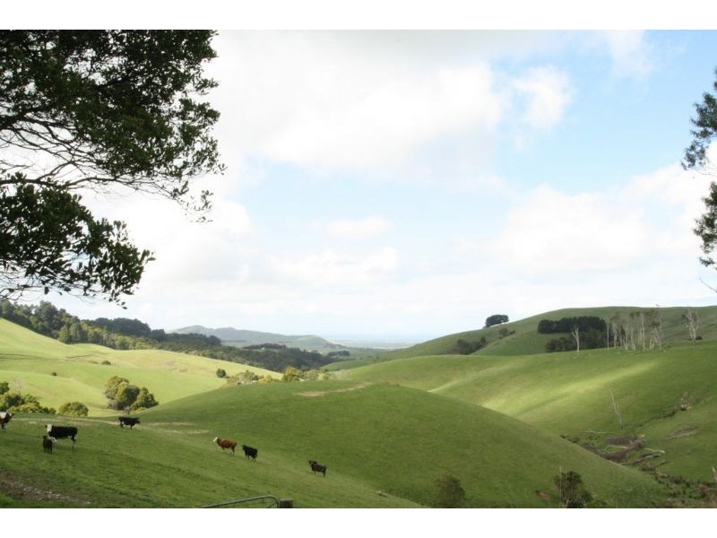 90 Foster North – Mirboo South Road, Foster North VIC 3960