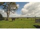 315 Nerrena Road, Leongatha VIC 3953