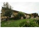 750 Dollar Road, Dumbalk VIC 3956
