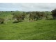 0 Kuhnes Road, Mardan VIC 3953